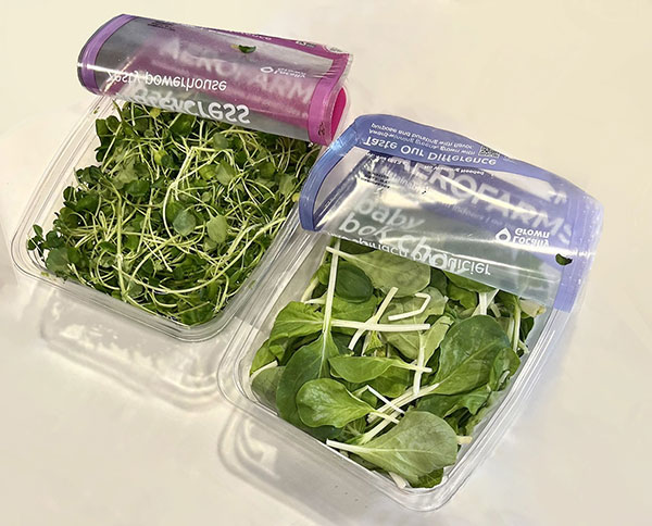 انواع دستگاه بسته بندی سبزیجات